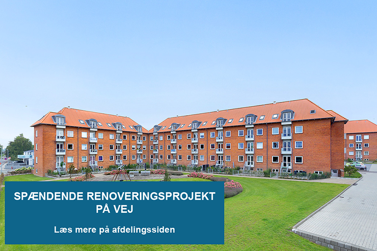 Afdelings billeder